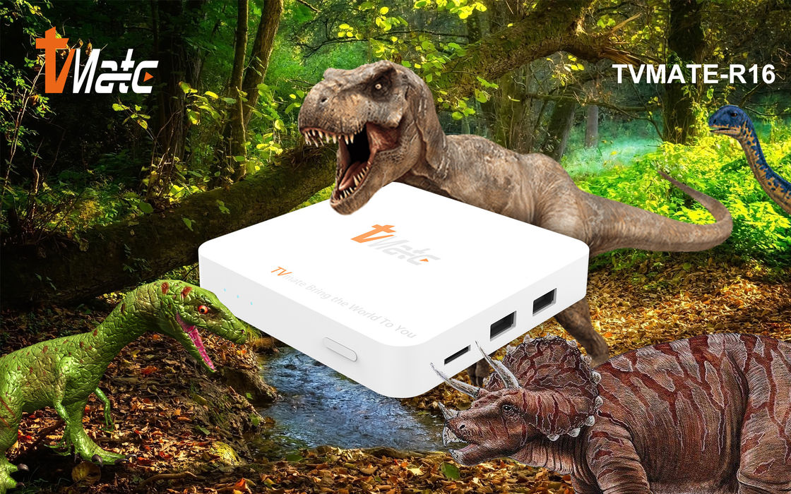 OTT Android TV Box Rockchip 322X Quad-Core Cortex-A7 até 1,5 GHz Smart TV Box Android